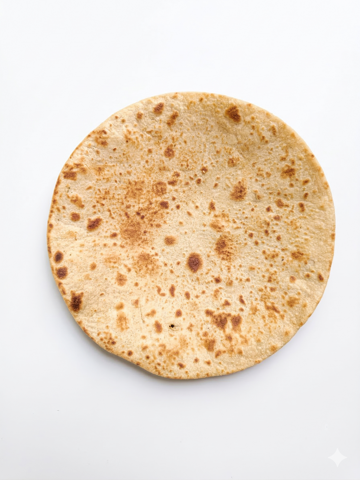 Rajasthani Plain Khakhra