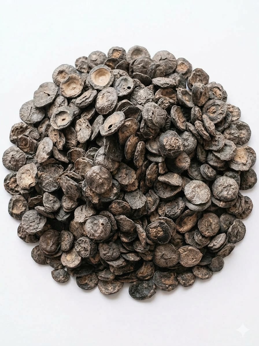Authentic Marwadi Dried Kumatiya Seeds (Kumtia / Acacia Senegal Seeds for Panchkuta) 500Gm
