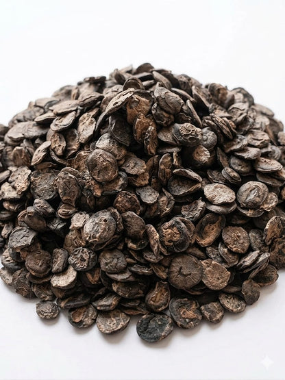 Authentic Marwadi Dried Kumatiya Seeds (Kumtia / Acacia Senegal Seeds for Panchkuta) 500Gm