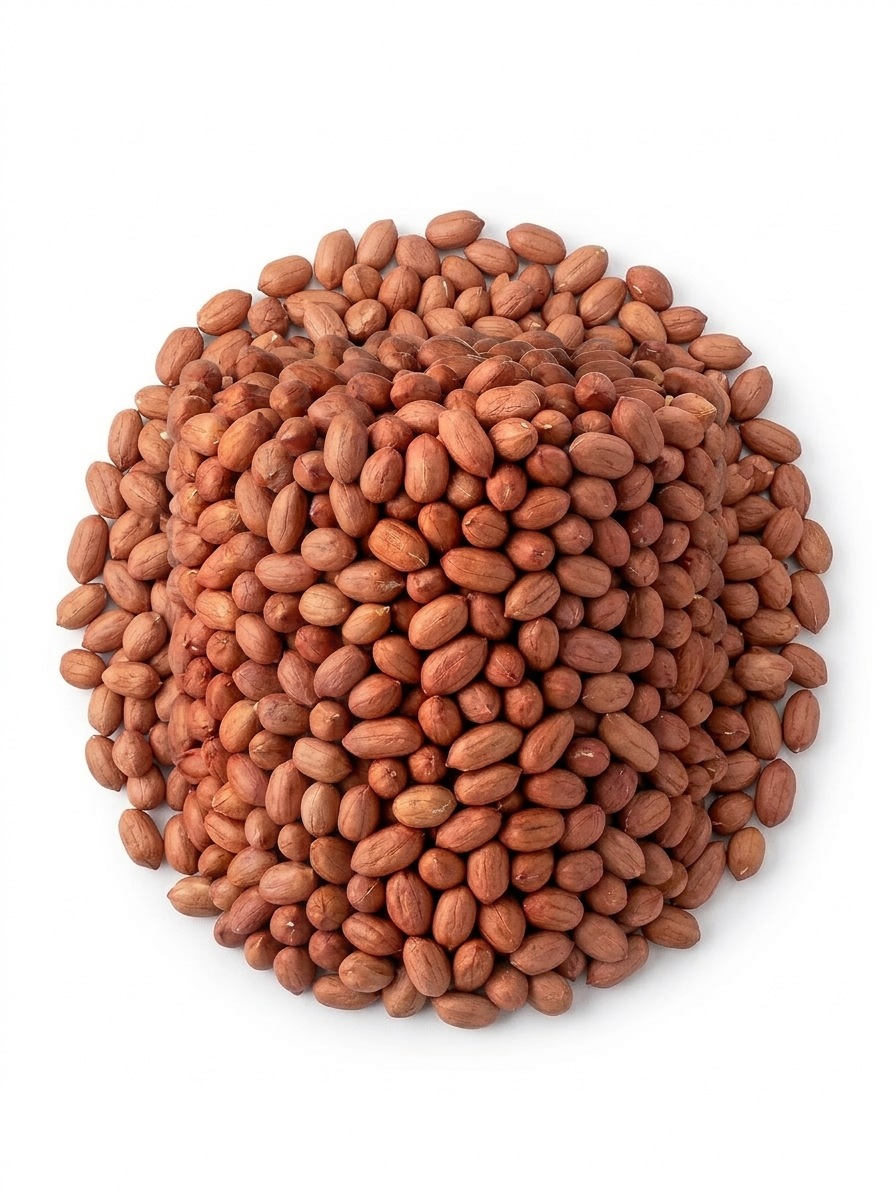 Premium Quality Raw Peanuts (Moongphali) – Natural, Nutrient-Rich Whole Nuts (800g)